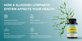 Healthy Day Supplements LymphX 100 Capsules ingredients list