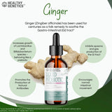 Healthy Genetics Prebiotic Probiotic with Ginger 118g ingredients list