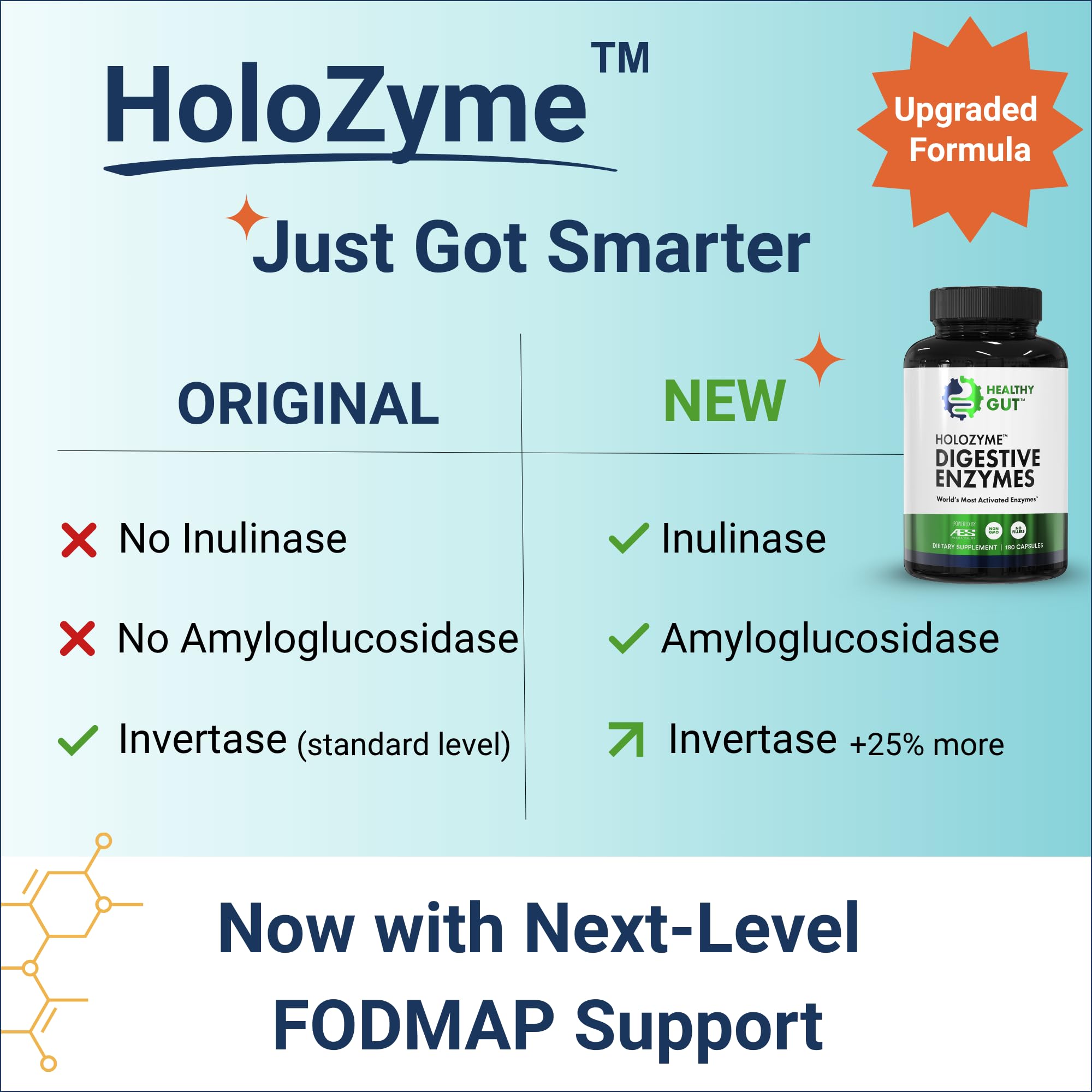 Healthy Gut HoloZyme Multi-Enzyme Supplement packaging