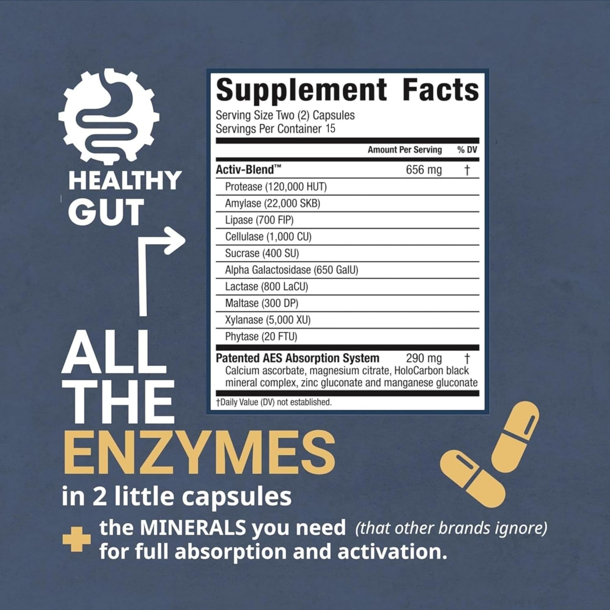Healthy Gut HoloZyme Multi-Enzyme Supplement side view