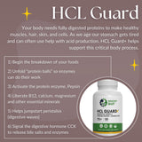 Healthy Gut Multi-Enzyme Supplement 132g capsule close-up