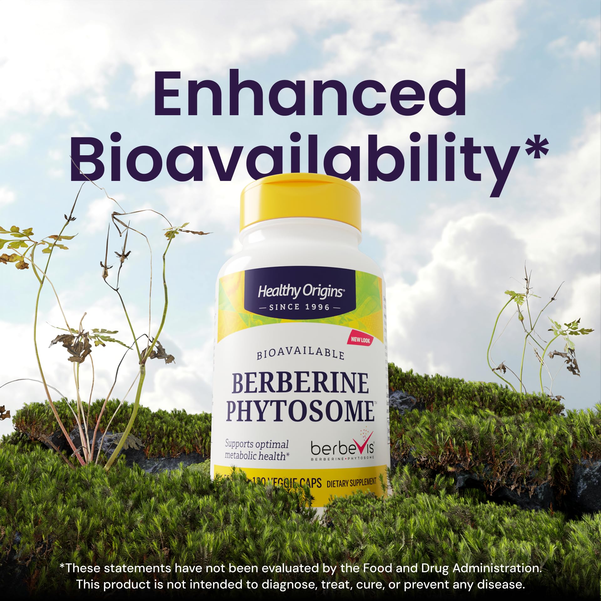 Healthy Origins Berbevis Phytosome supplement capsule close-up