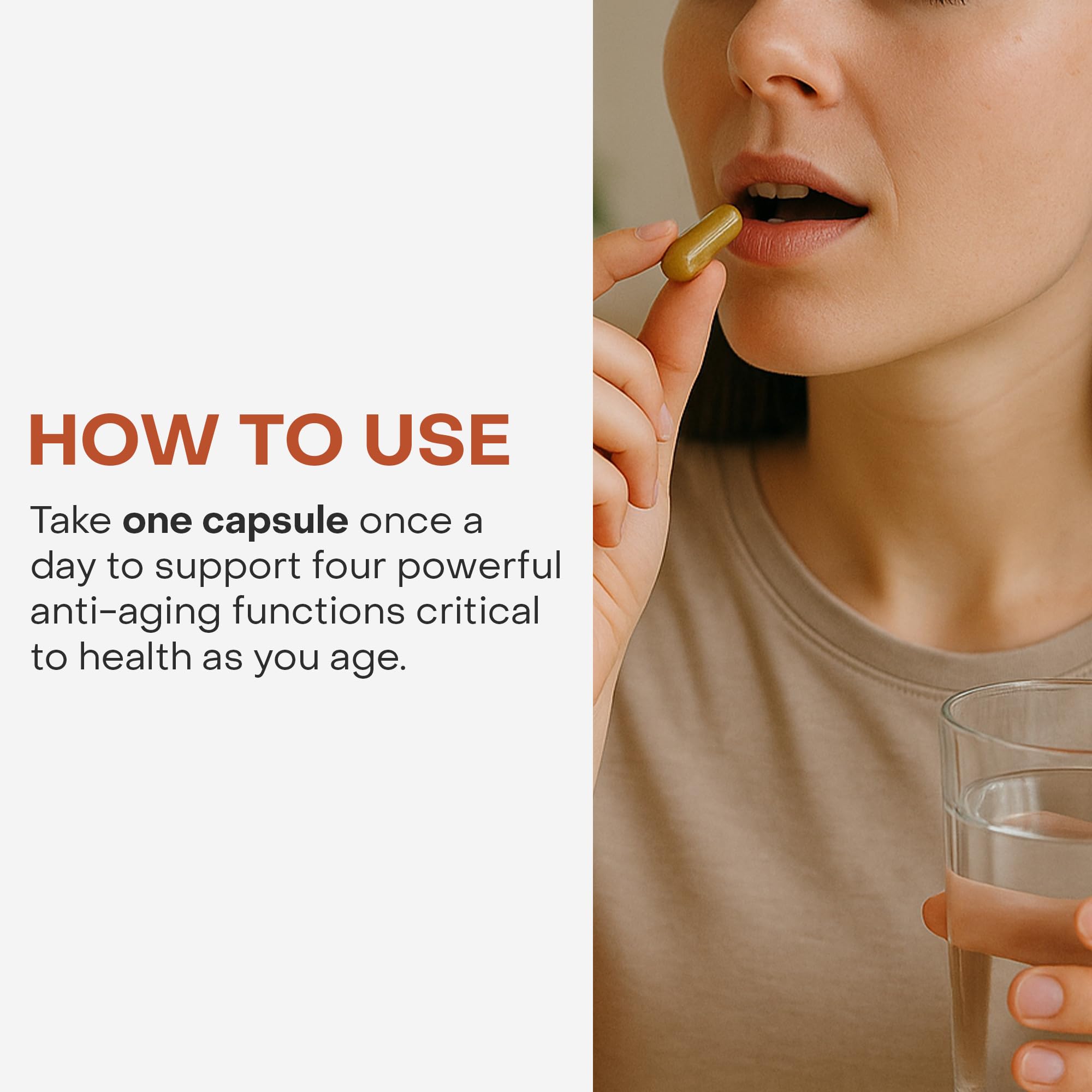Healthycell AC-11 DNA Repair Supplement 350mg capsule close-up