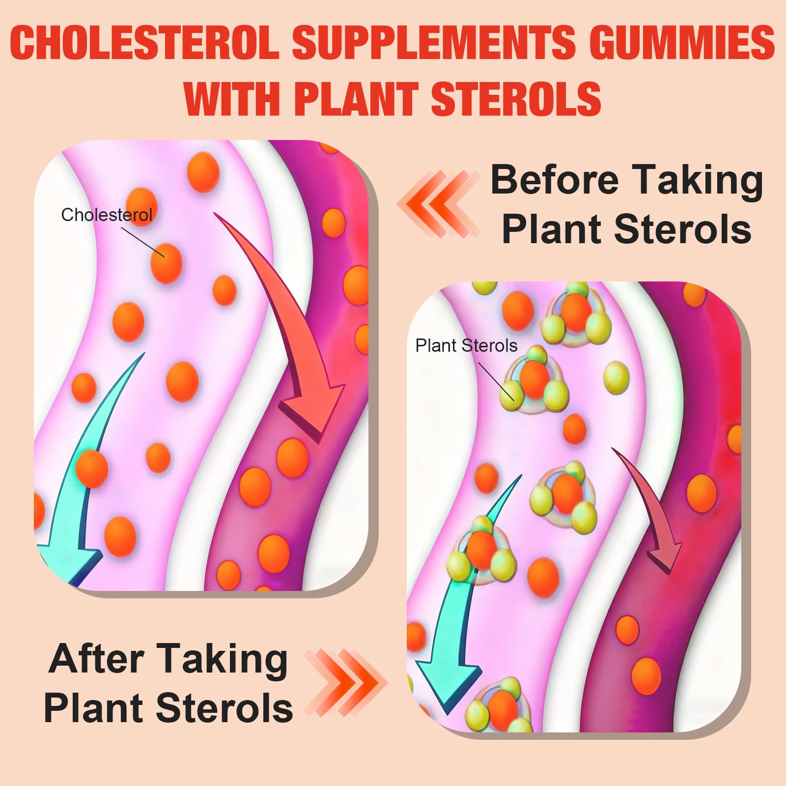 Healtionist Cholesterol Gummies in a lifestyle setting