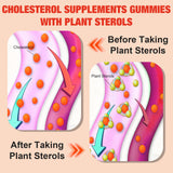 Healtionist Cholesterol Gummies in a lifestyle setting