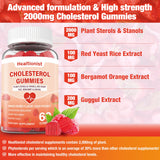 Healtionist Cholesterol Gummies side view with nutritional information