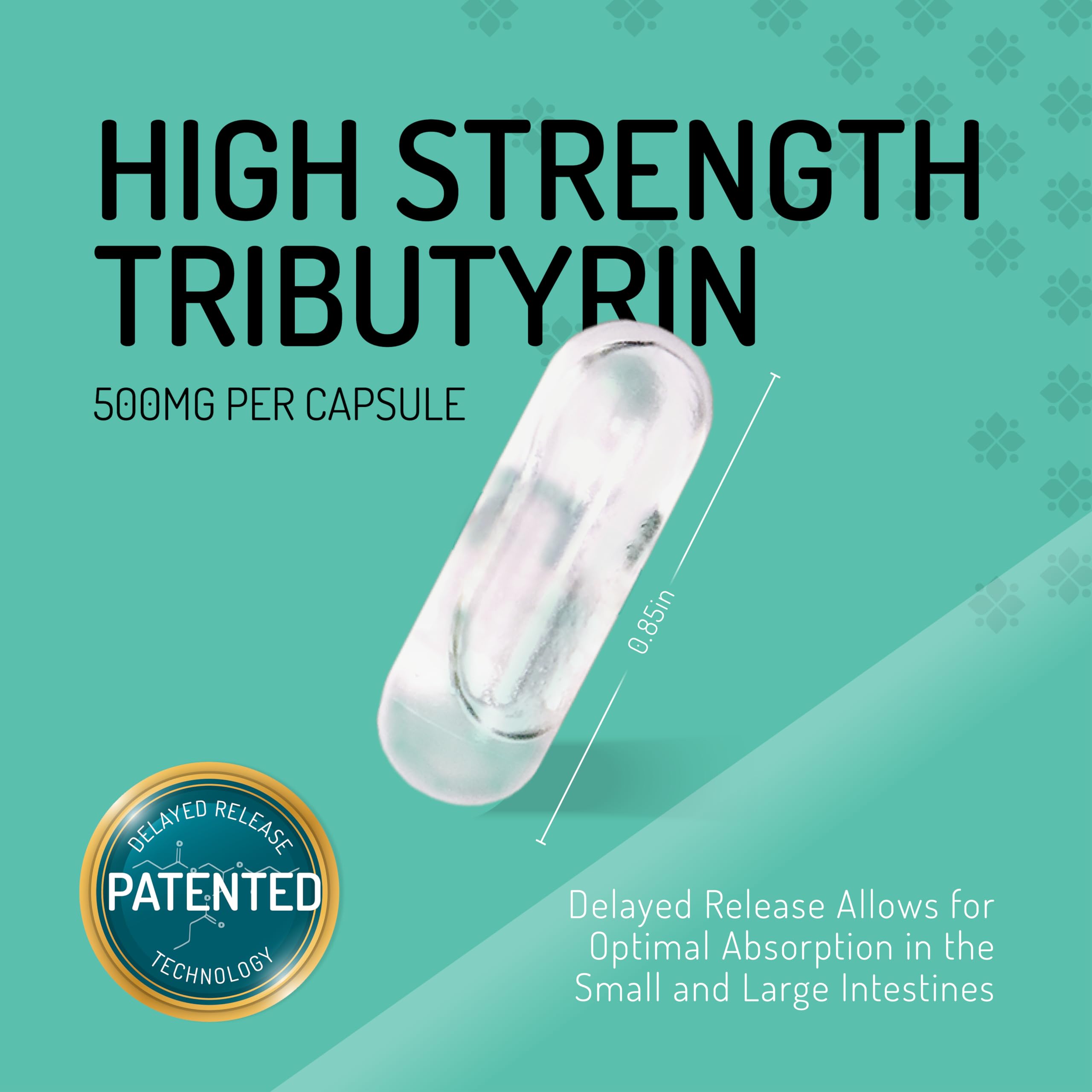 Healus Complete Biotic Tributyrin Supplement 500mg bottle with label