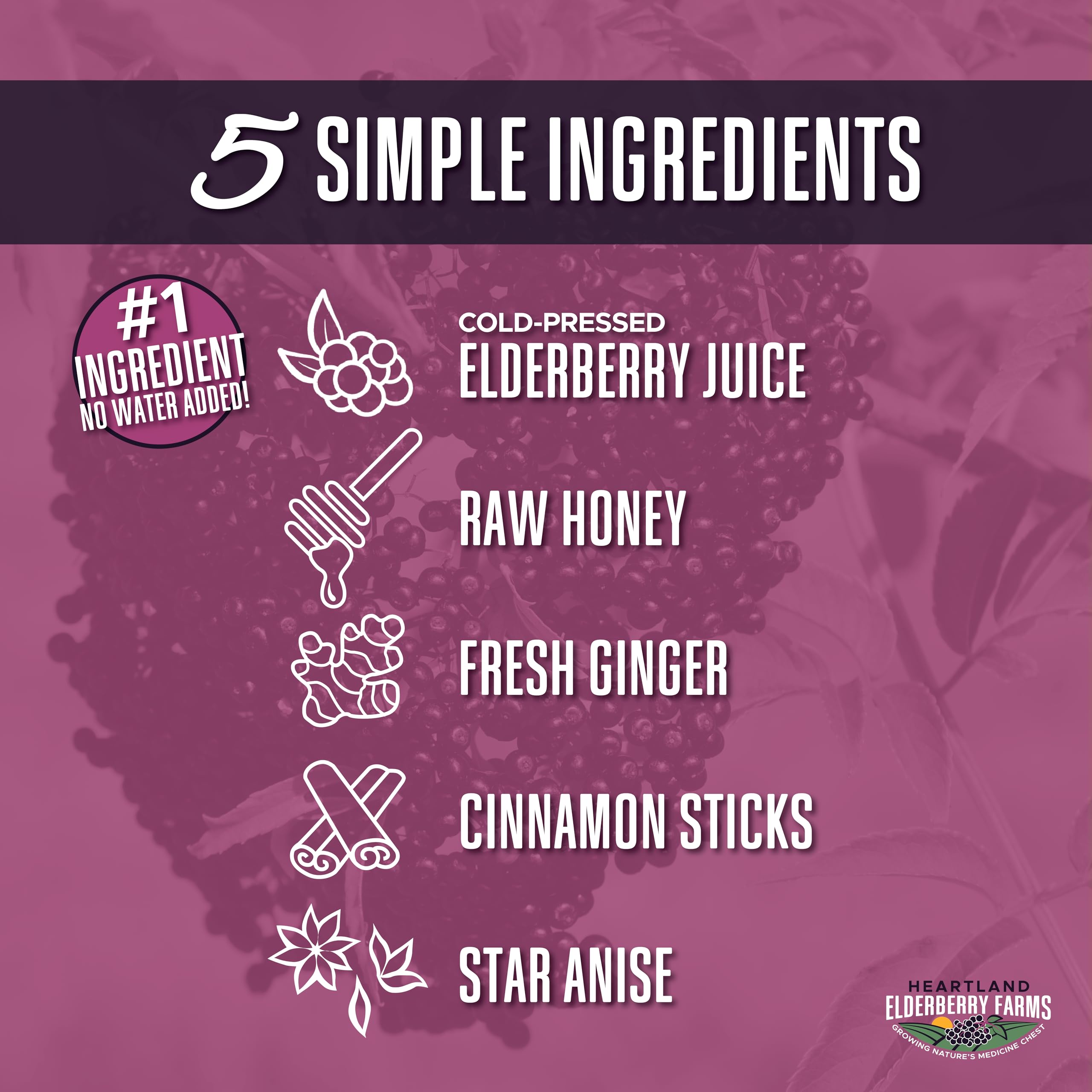 Heartland Organic Elderberry Syrup 1551g bottle with cap