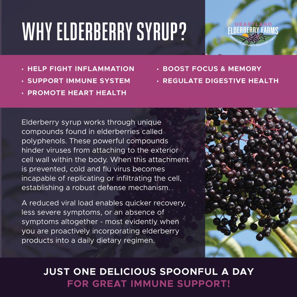 Heartland Organic Elderberry Syrup 1551g ingredients display