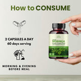 Hebhac Herbs Moringa Capsules in a lifestyle setting