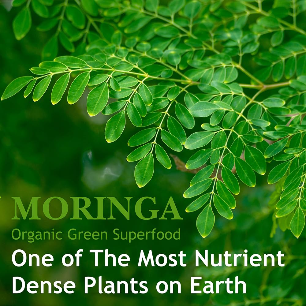 Hebhac Herbs Moringa Capsules on a wooden table