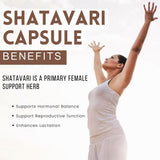 Hebhac Herbs Organic Shatavari Supplement back label
