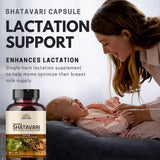Hebhac Herbs Organic Shatavari Supplement capsules in a hand