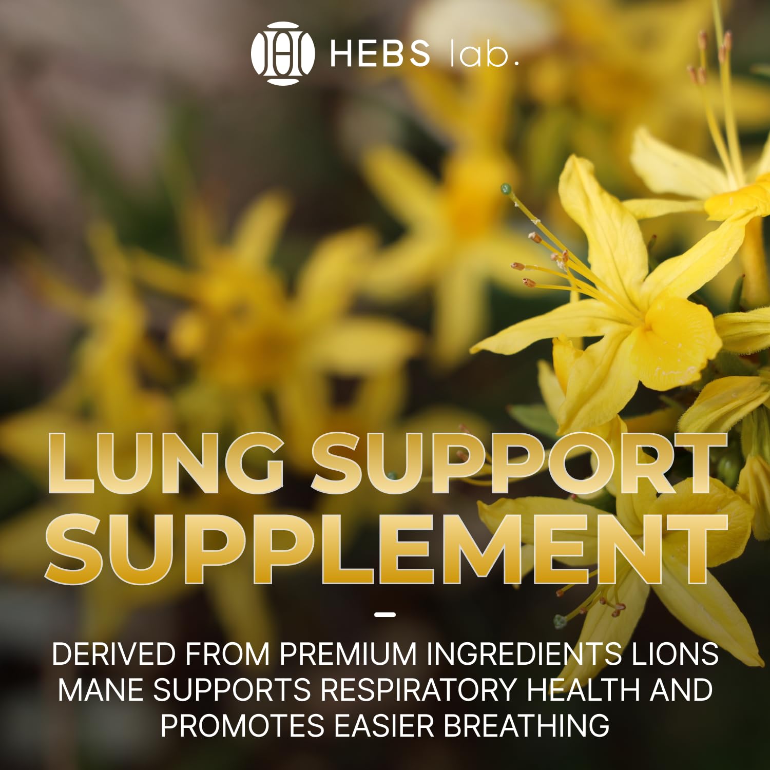 HEBS LAB. Mullein Leaf Extract 132g back view