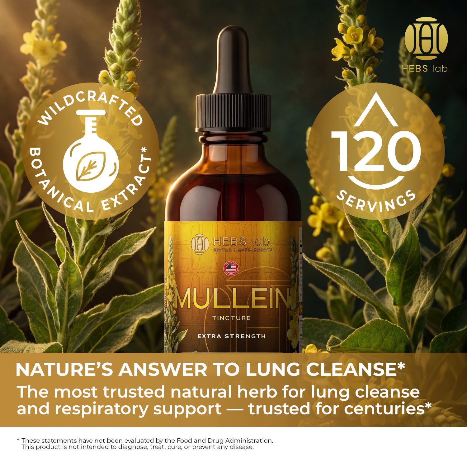 HEBS LAB. Mullein Leaf Extract 281g label close-up