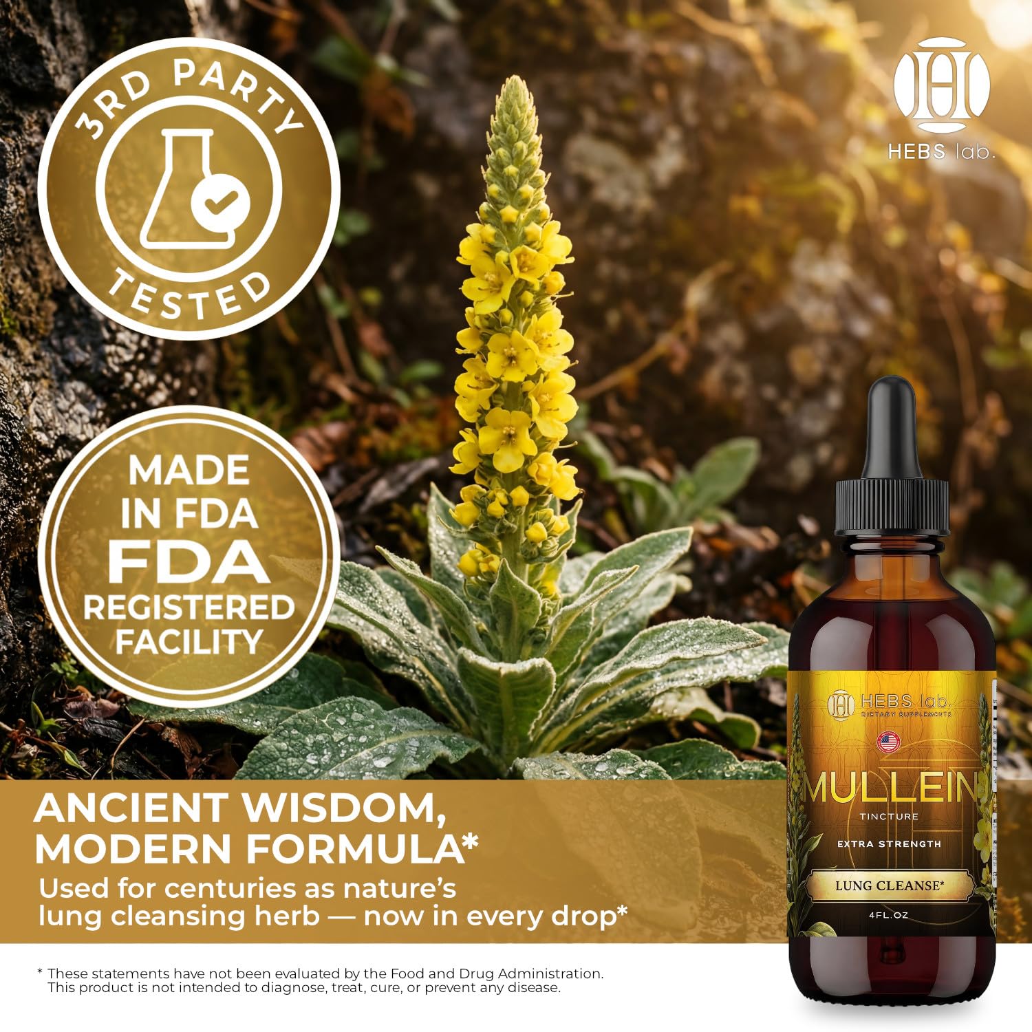 HEBS LAB. Mullein Leaf Extract 281g with dropper
