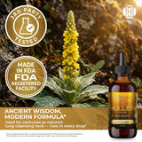 HEBS LAB. Mullein Leaf Extract 281g with dropper