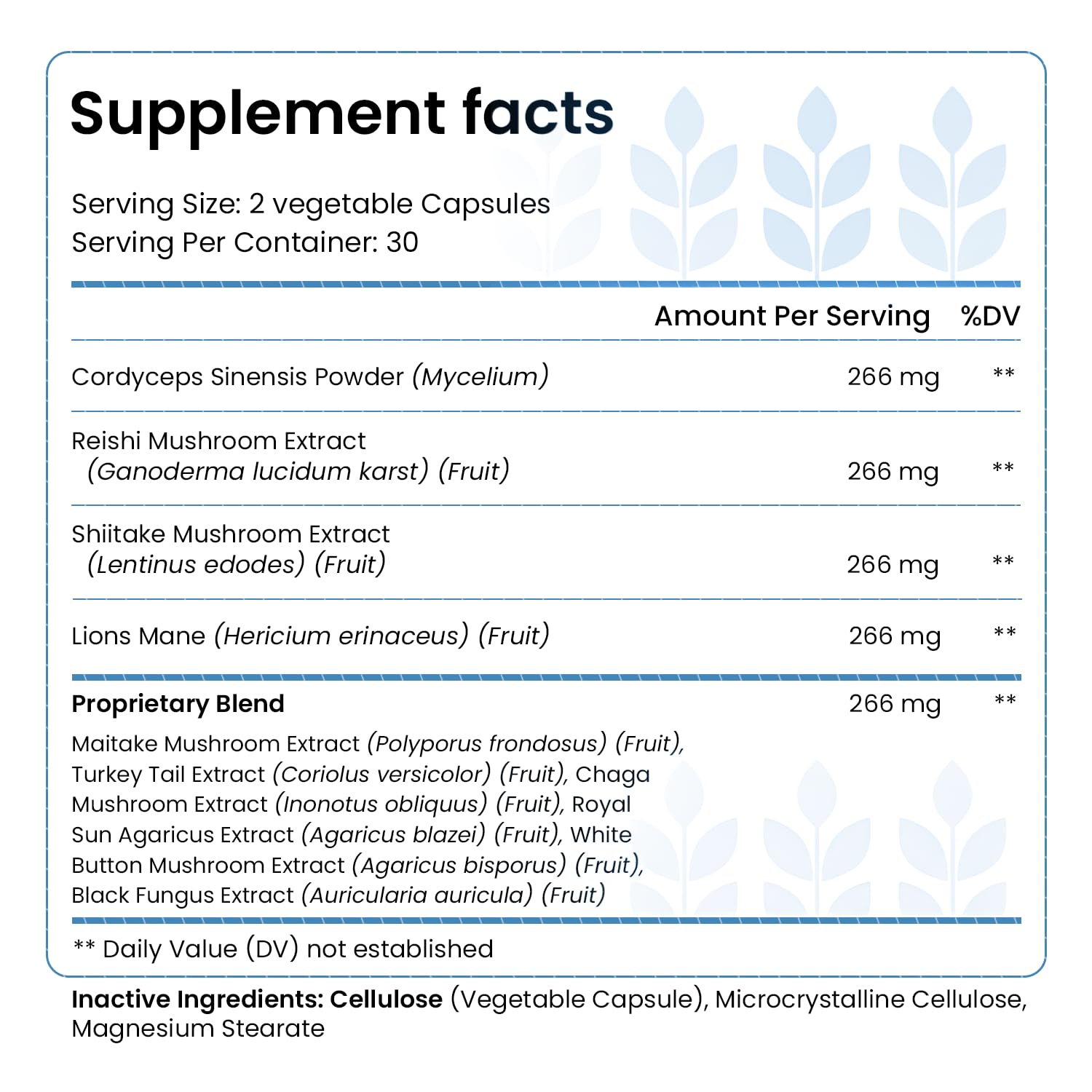 HELLO HEALTH Organic Mushroom Supplement 1500mg side view