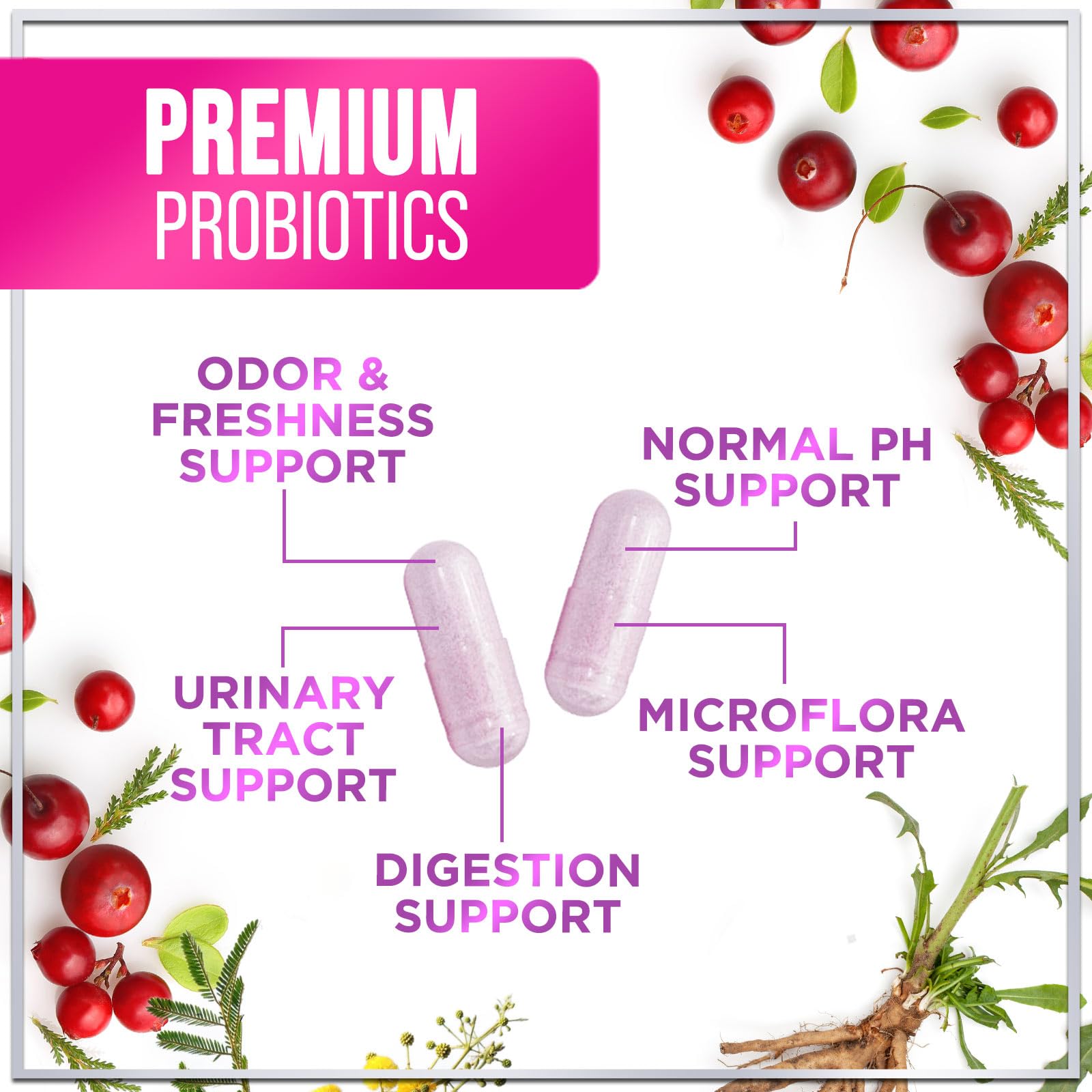 Hello Lovely! Women's Probiotic Capsules on a kitchen countertop