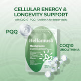 Hellomush Super Greens Powder lifestyle scene with smoothie