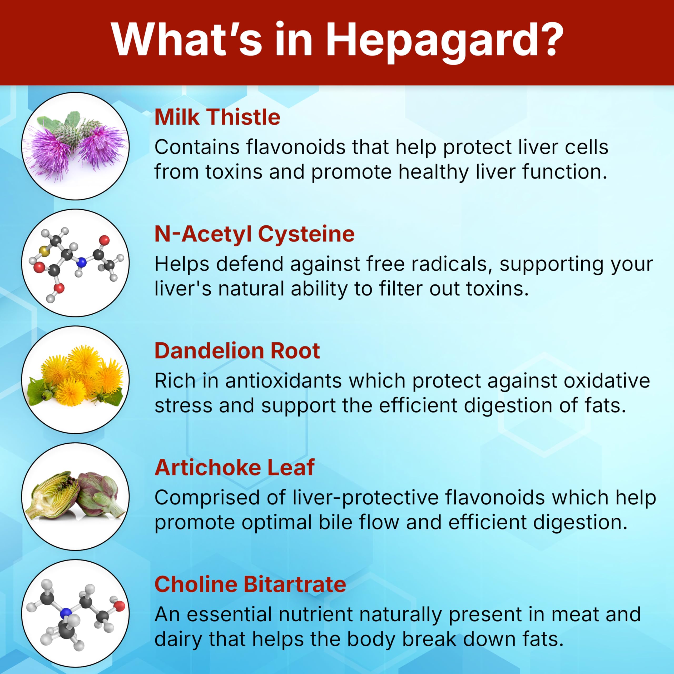 Hepagard Milk Thistle Liver Support Supplement bottle back view