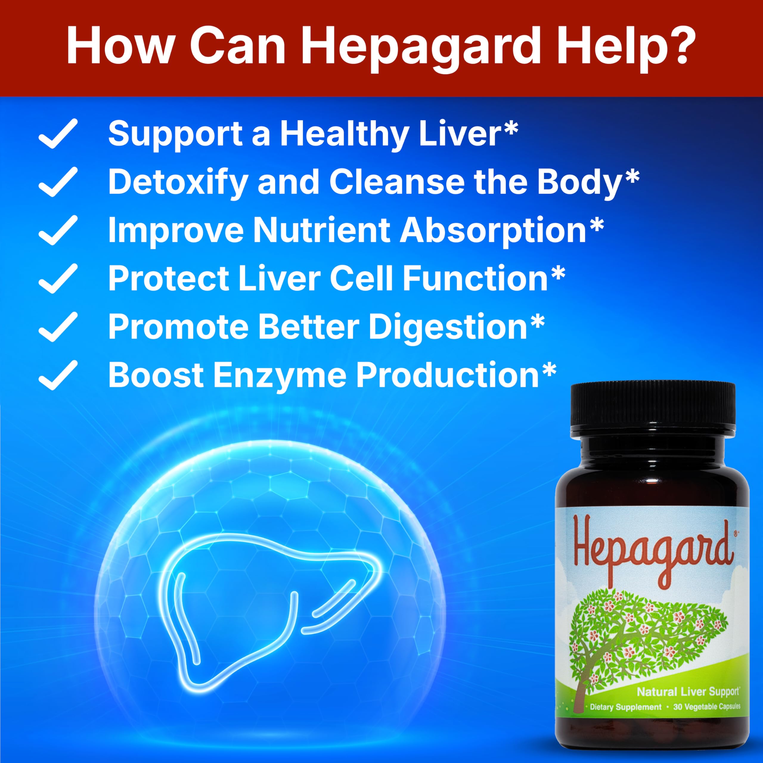 Hepagard Milk Thistle Liver Support Supplement capsules close-up