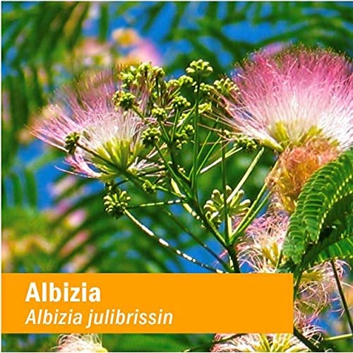 Herb Pharm Albizia Bark Liquid Extract 28g label close-up
