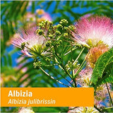 Herb Pharm Albizia Bark Liquid Extract 28g label close-up