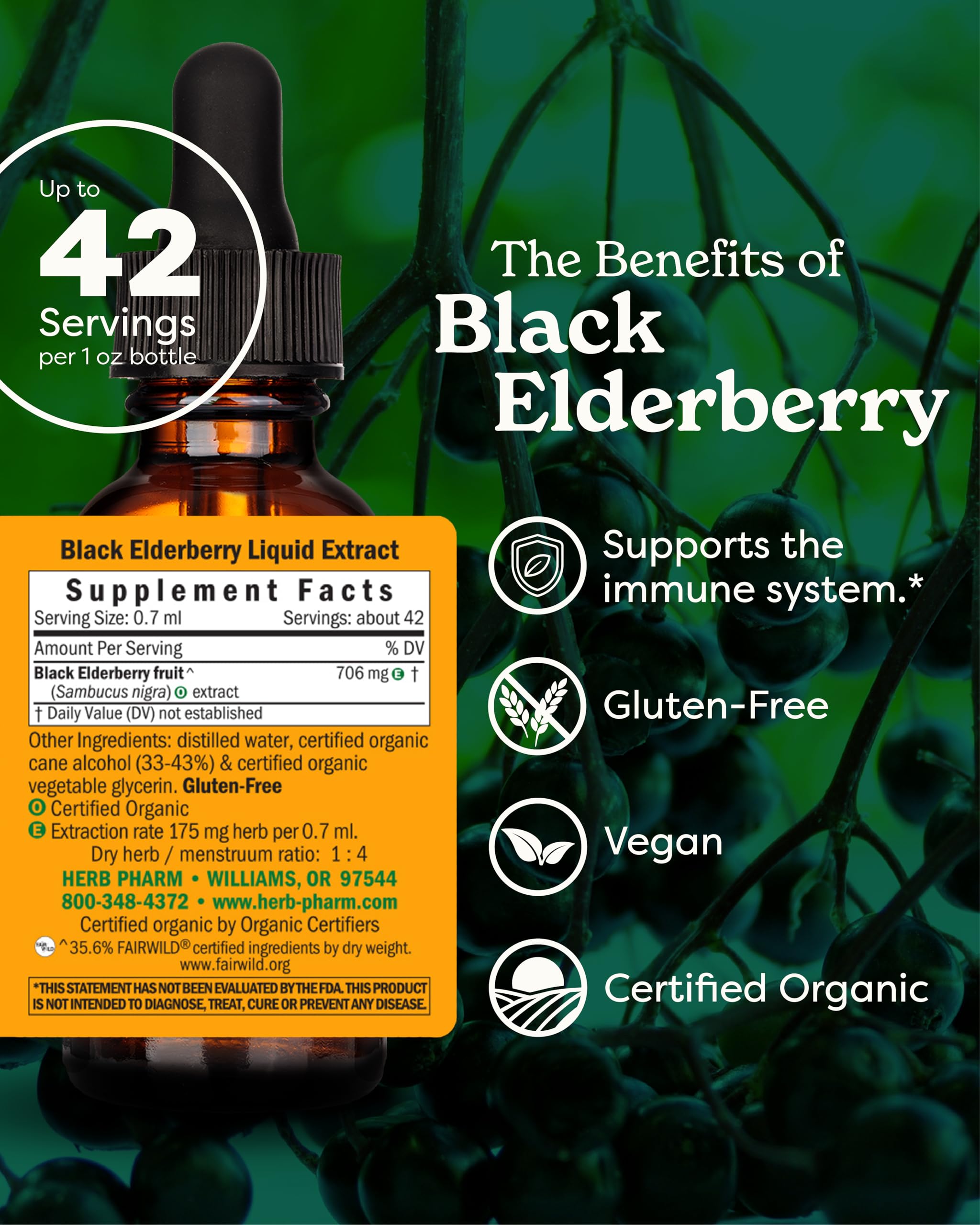 Herb Pharm Black Elderberry Extract 28g liquid bottle back view