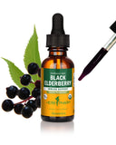 Herb Pharm Black Elderberry Extract 28g liquid bottle front view