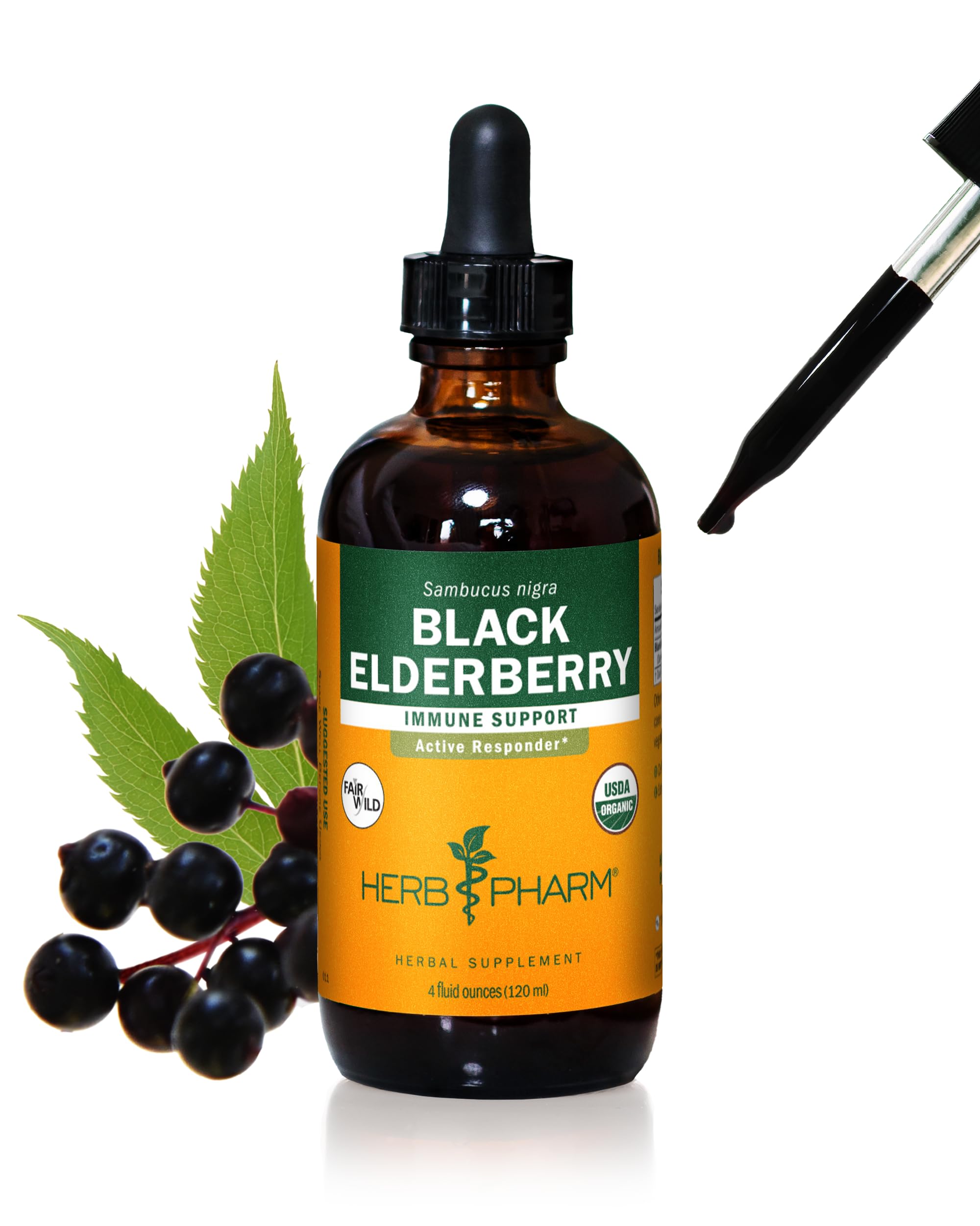 Herb Pharm Black Elderberry Liquid Extract 113g front view