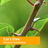 Herb Pharm Cat's Claw Liquid Extract 113g label details