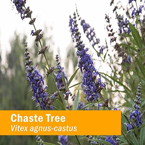 Herb Pharm Chaste Tree Liquid Extract 113g packaging
