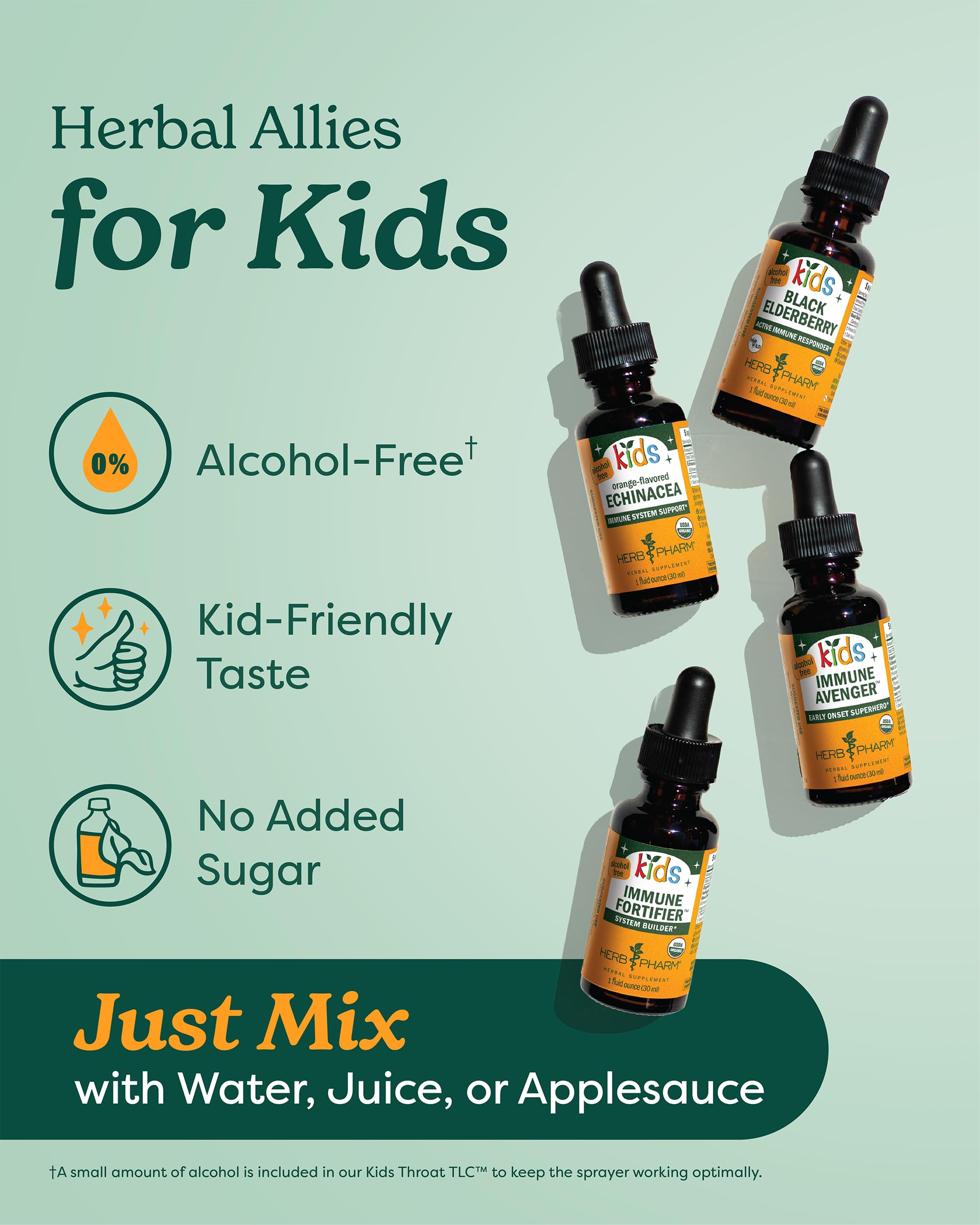 Herb Pharm Children's Echinacea Glycerite 113g back view showing ingredients