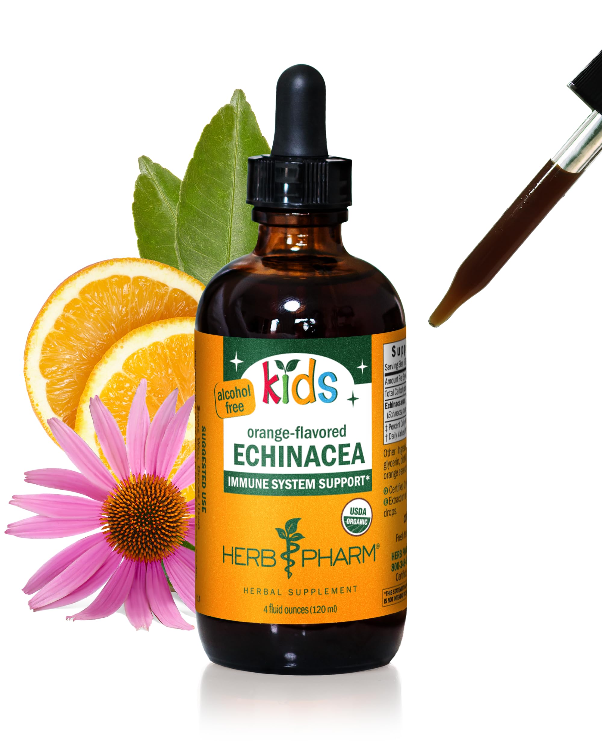Herb Pharm Children's Echinacea Glycerite 113g front view