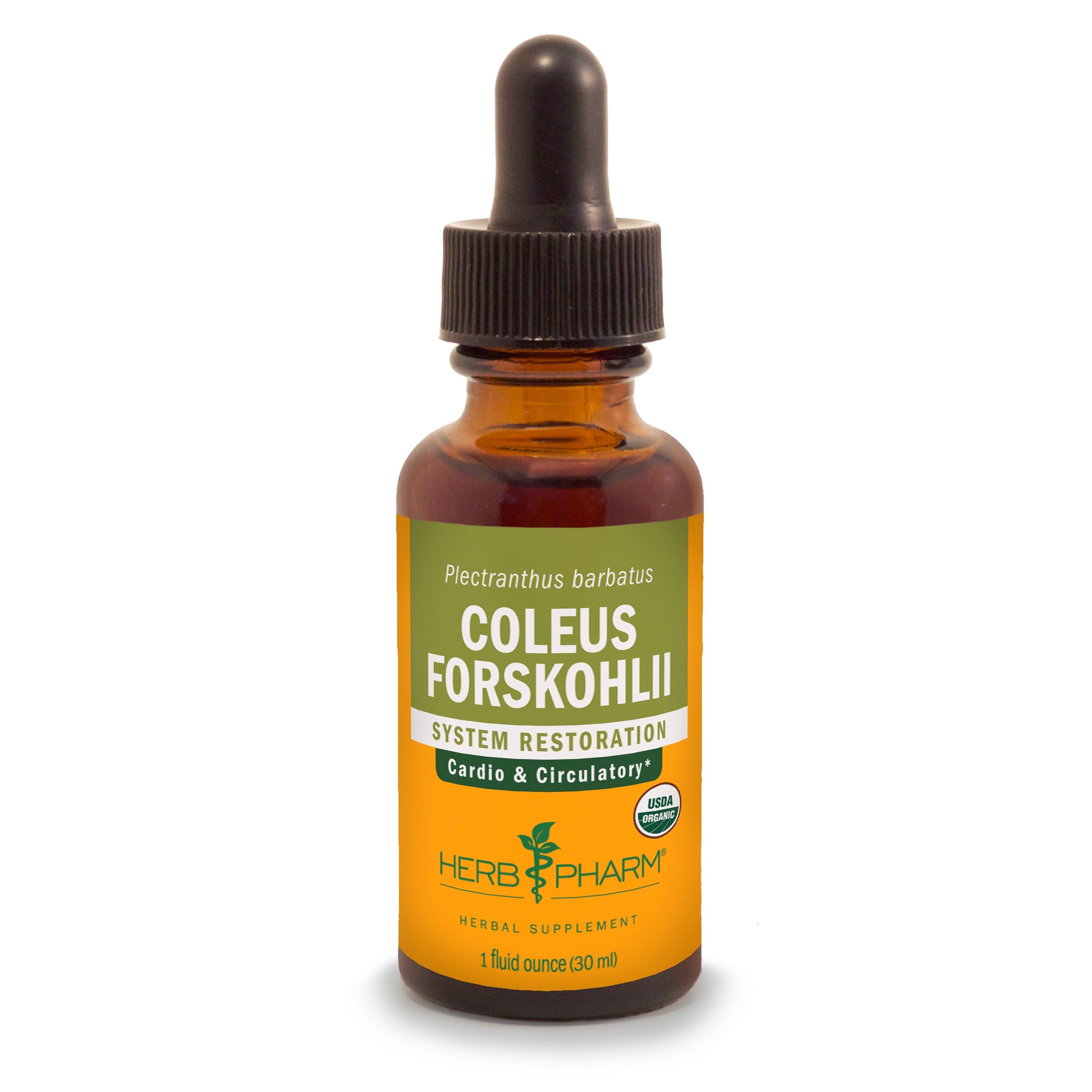 Herb Pharm Coleus Forskohlii Extract liquid supplement front view