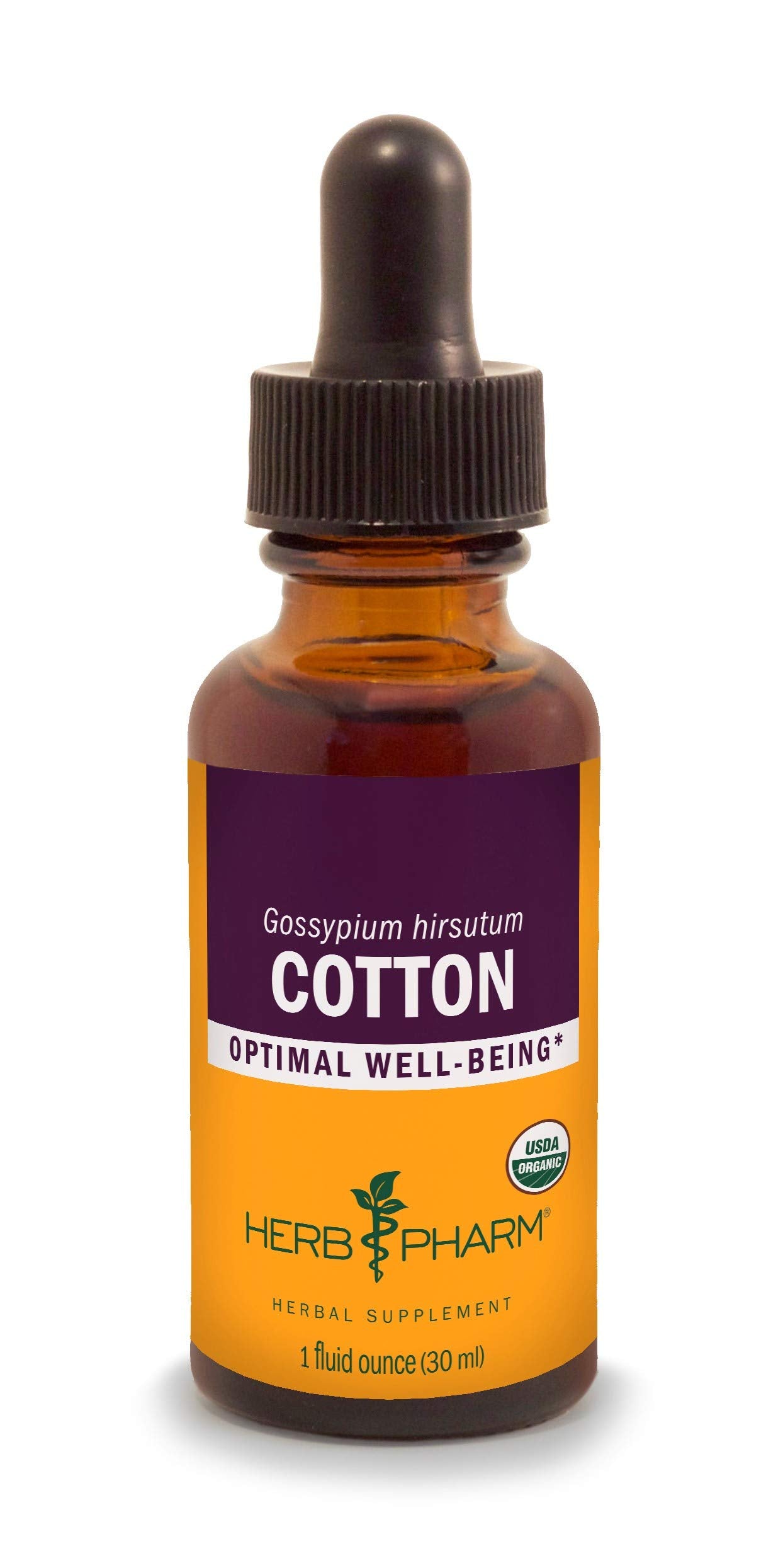 Herb Pharm Cotton Extract Echinacea 28g front view