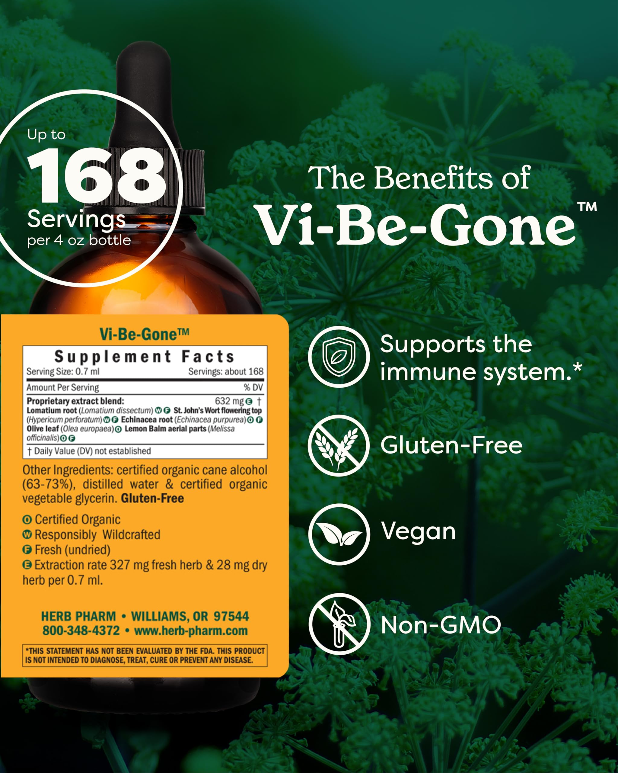 Herb Pharm Echinacea Liquid Extract 113g back view