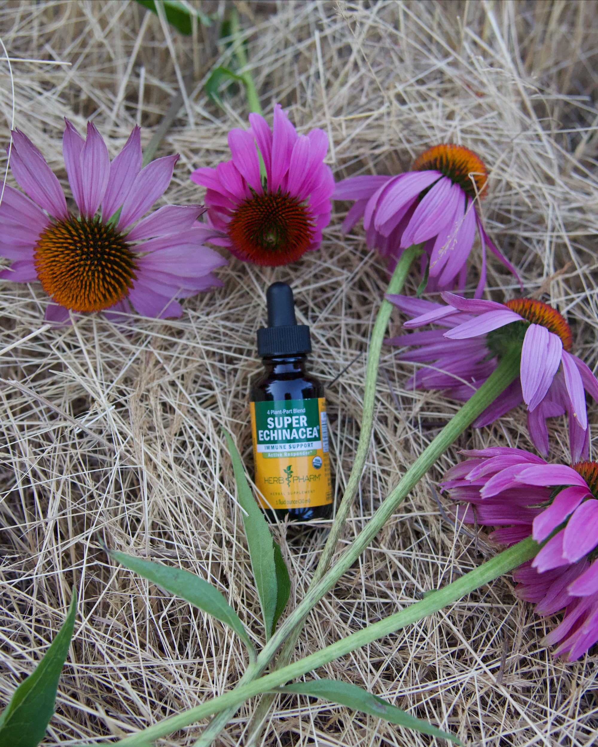Herb Pharm Echinacea Liquid Supplement 2 oz side view