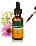 Herb Pharm Echinacea & Lomatium Tincture 1 Oz front view