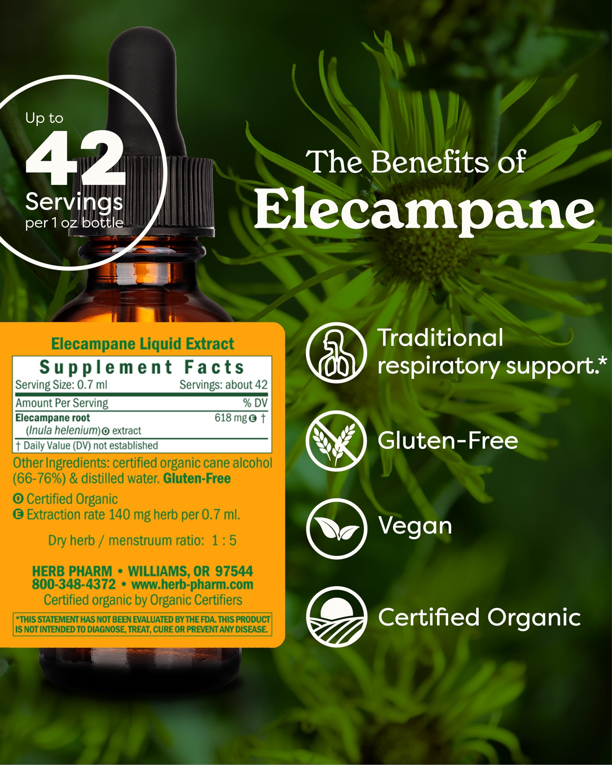 Herb Pharm Elecampane Liquid Extract 28g bottle side view