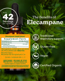 Herb Pharm Elecampane Liquid Extract 28g bottle side view