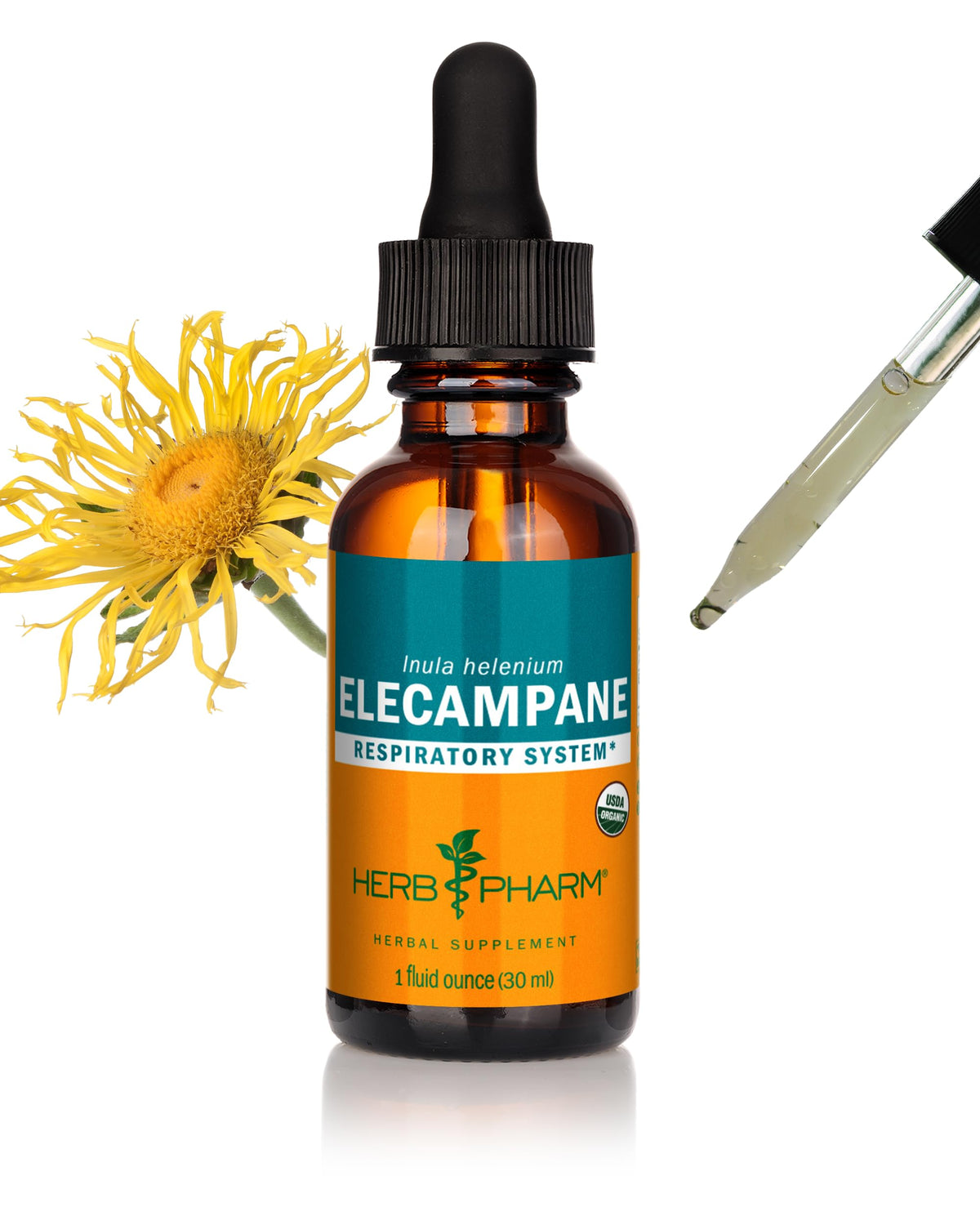 Herb Pharm Elecampane Liquid Extract 28g front view with label