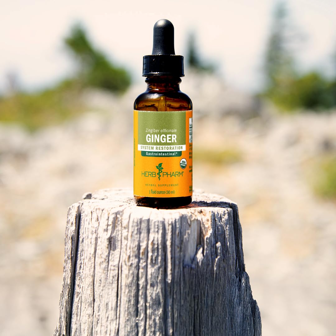 Herb Pharm Ginger Extract Tincture packaging display