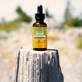 Herb Pharm Ginger Extract Tincture packaging display