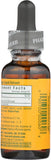 Herb Pharm Ginger Extract Tincture with natural background