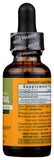Herb Pharm Horsetail Liquid Extract with fresh plants