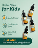 Herb Pharm Kids daily wellness Fortifier 249g ingredients list