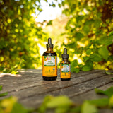 Herb Pharm Kids Fast Asleep herbal extract with measuring dropper