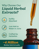 Herb Pharm Lemon Balm Alcohol-Free Glycerite bottle with cap